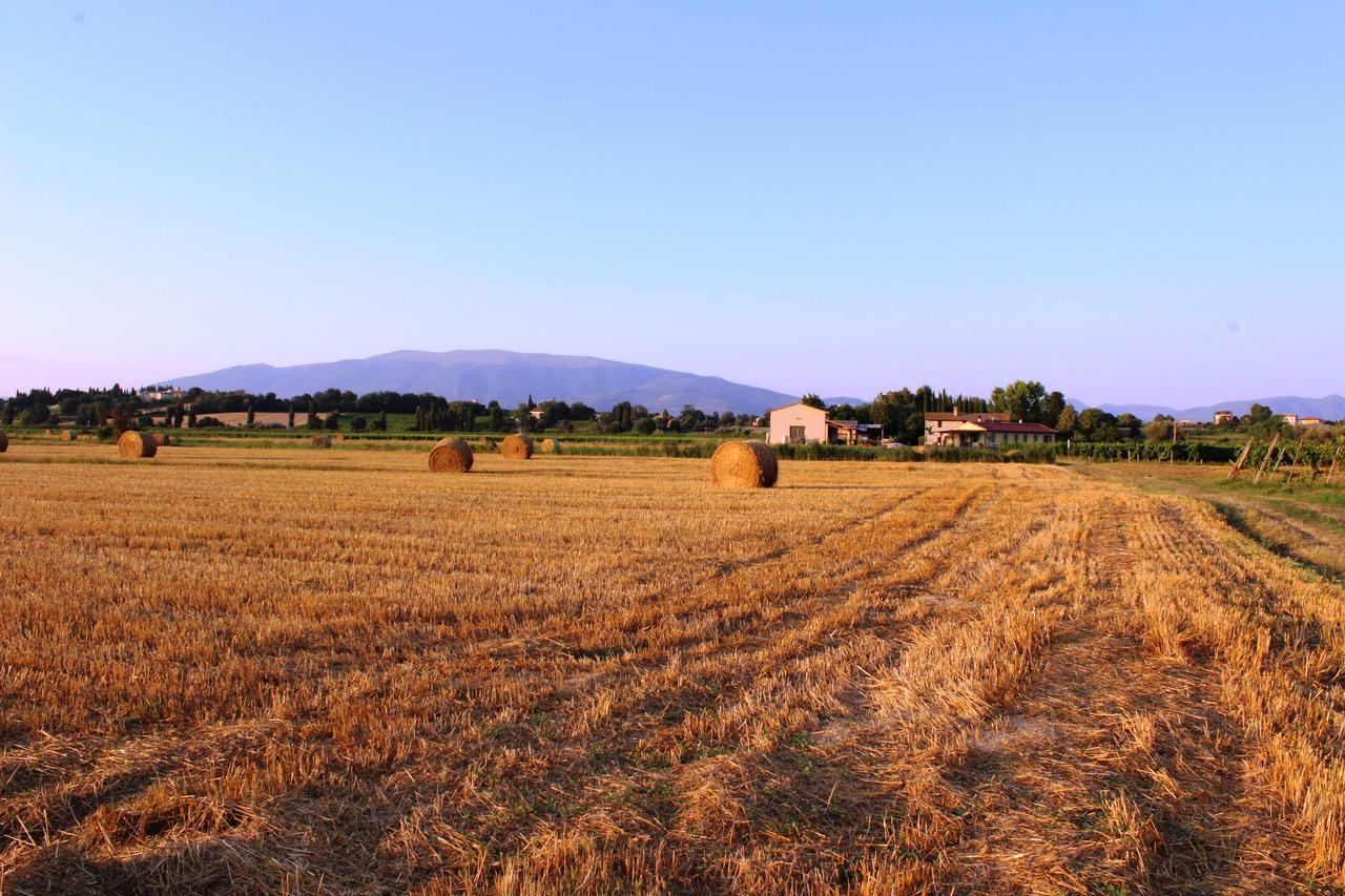 Le Case Bevagna Εξωτερικό φωτογραφία